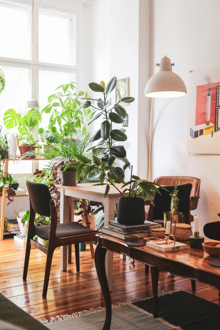 Consulenza stile casa online piante da interno